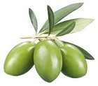 Ontdek het verzorgende effect van Babaria Gel de Bano Hidratante Olive Oil met olijfolie uit Spanje