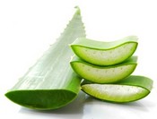 The high level of Aloe Vera in Instituto Espanol products is well known in Spain